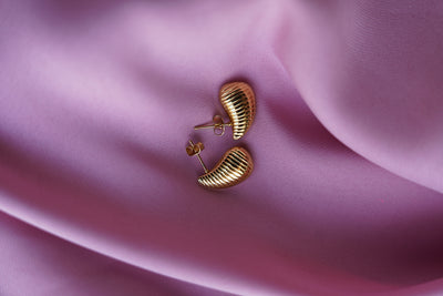 Golden Shell Curve Earrings
