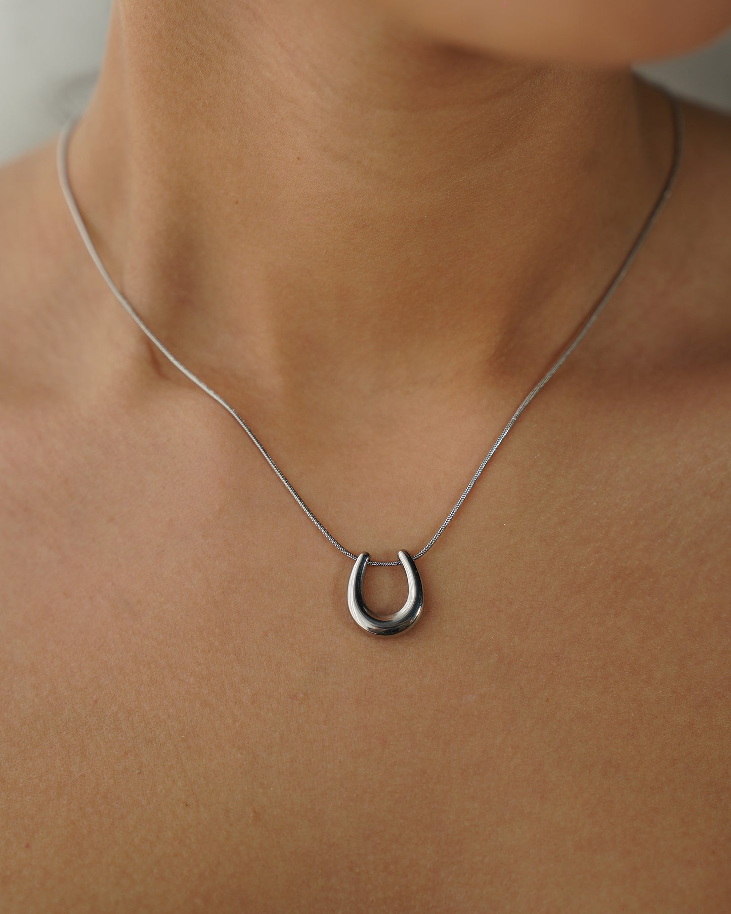 Silver Loop Necklace
